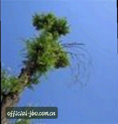 李浩